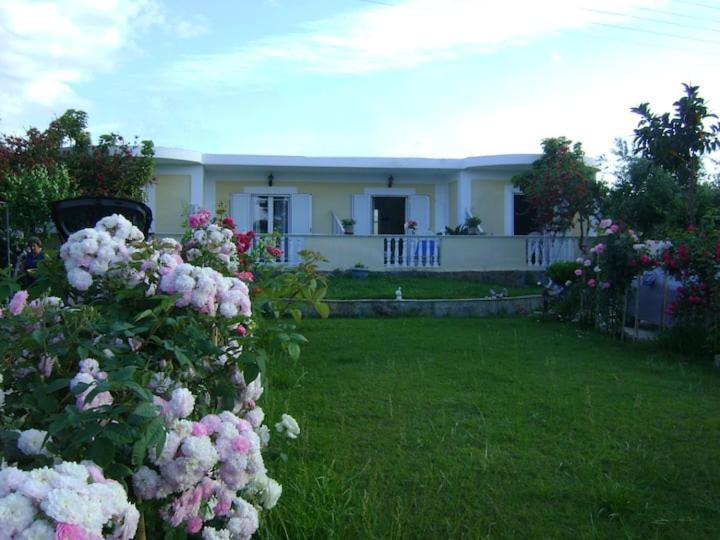 Zante Summer Retreats - Marietta'S Apartment2 Drosia Kypseli Buitenkant foto